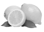 LemonTree